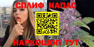 стафф Моздок